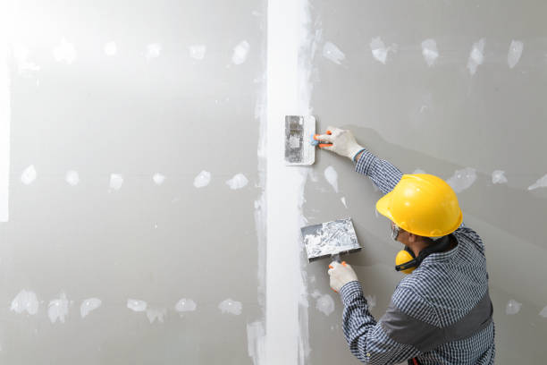 Reliable Mckenzie, TN Painting & Drywall Installation Solutions